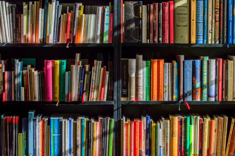 magasin-PONTEVES-min_books_bookstore_book_reading_shop_writer_sale_books_read-822866